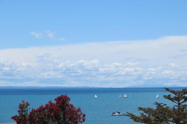 Hotel Harbour View Seaside Accommodation Napier (Westshore)